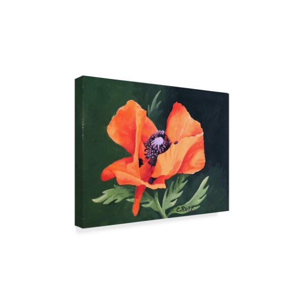 Carol J Rupp 'Orange And Red Poppy Iii' Canvas Art,24x32